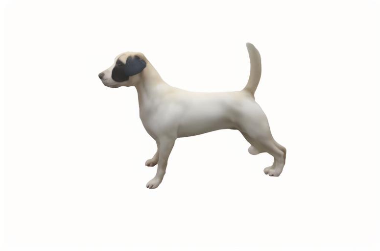 大中型犬類動物目標物